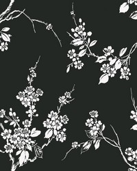 Imperial Blossoms Branch Wallpaper Black White by   