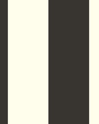 Canvas Stripe  Black White by   