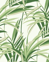 Tropical Paradise Wallpaper Green White by   