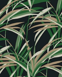 Tropical Paradise Wallpaper Green Black by   