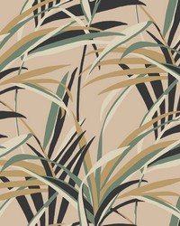 Tropical Paradise Wallpaper Blush by  S Harris 