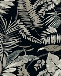 Tropical Toss Wallpaper Black by   