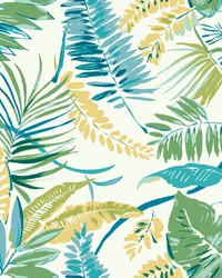 Tropical Toss Wallpaper Aqua Yellow by  S Harris 