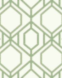 Sawgrass Trellis Wallpaper Green by  S Harris 
