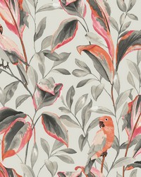 Tropical Love Birds Wallpaper Gray by  S Harris 