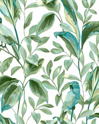 Tropical Love Birds Wallpaper White Aqua by   