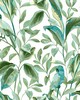 York Wallcovering Tropical Love Birds Wallpaper White/Aqua