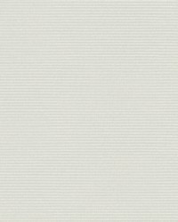 Boucle Wallpaper Gray by  S Harris 