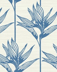 Bird Of Paradise Wallpaper Blue by  S Harris 