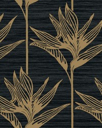 Bird Of Paradise Wallpaper Black Gold by   