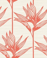 Bird Of Paradise Wallpaper Coral by  S Harris 