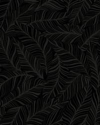 Rainforest Canopy Wallpaper Black by  S Harris 