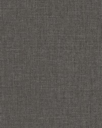 Well Suited Wallpaper Blacks by   