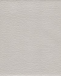 Texture & Trowel Wallpaper White Off Whites by  York Wallcovering 