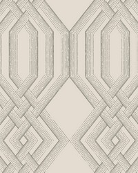 Ettched Lattice Wallpaper Gray by   