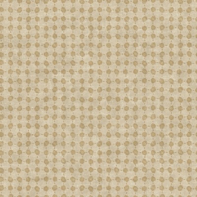 York Wallcovering Petal Filigree Wallpaper Beiges Wallpaper