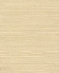 Sisal Wallpaper Beiges by  Bravo Fabrics International LLC 