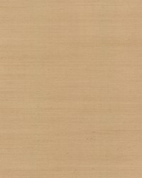 Sisal Wallpaper Beiges by  Bravo Fabrics International LLC 