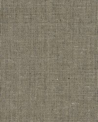 Hemp Yarn Wallpaper Blacks by  Bravo Fabrics International LLC 