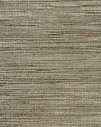 Inked Grass Wallpaper Greens by  Bravo Fabrics International LLC 