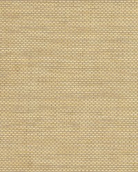 Woven Crosshatch Wallpaper Beiges by  Bravo Fabrics International LLC 