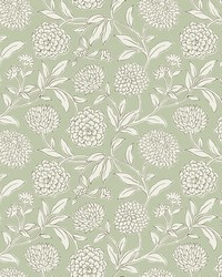 Chatsworth Garden Celery by   