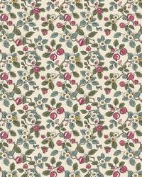 Framboise Mulberry & Evergreen by   