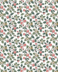 Framboise Berry & Green by   