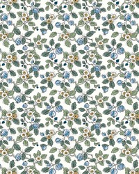 Framboise Blue & Green by   