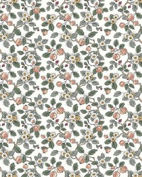 Framboise Salmon & Eucalyptus by   