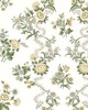 York Wallcovering Genevieve Butter & Green