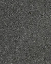 Brilliant Mica Black by   