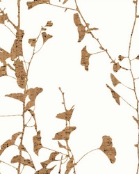 Ginkgo Silhouette Light Brown by   