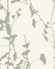 York Wallcovering Ginkgo Silhouette Sage