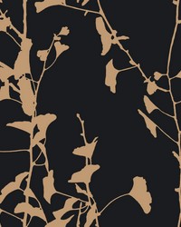 Ginkgo Silhouette Black & Gold by   