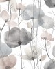 York Wallcovering Cotswolds Poppies Grey