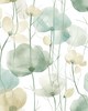 York Wallcovering Cotswolds Poppies Turquoise