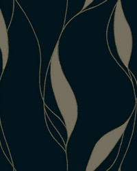 Society Hill Black by   