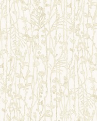 Filigree Beige by   