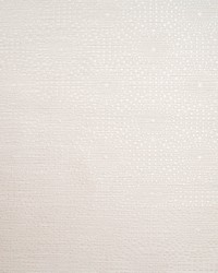 Circle Burst Wallpaper  White Off Whites by   