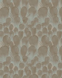 Feathers Wallpaper Brown Turquoise by   