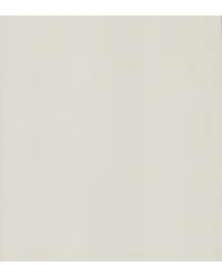 Cotton Yarn Soft White by   