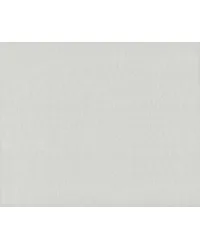 Sheer Linen Silver White by   