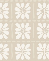 Mimosa Fleur Nude by   