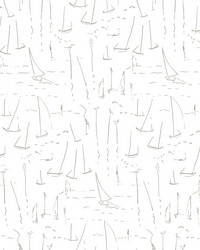 Vermillion Coast Silver by   