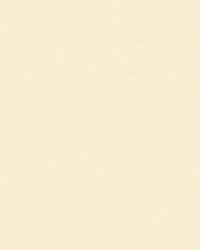 CHEVALIER WOOL IVORY by  Brunschwig & Fils  