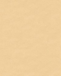 CHEVALIER WOOL CREAM by  Brunschwig & Fils  