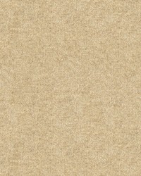 CHEVALIER WOOL OATMEAL by  Brunschwig & Fils  
