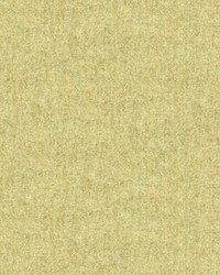 CHEVALIER WOOL SEAFOAM by  Brunschwig & Fils  