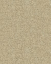 CHEVALIER WOOL JUTE by  Brunschwig & Fils  